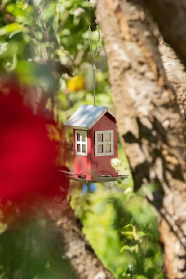 Gaestehaus Sonne Zuchwil エクステリア 写真